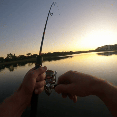 Tumkamera™ | 4K Action Kit