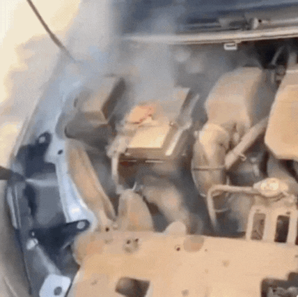 Virex™ | SteamMaster Pro ångrengörare