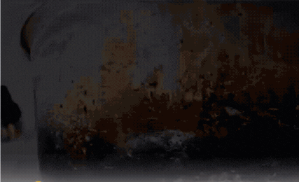 Virex™ | SteamMaster Pro ångrengörare